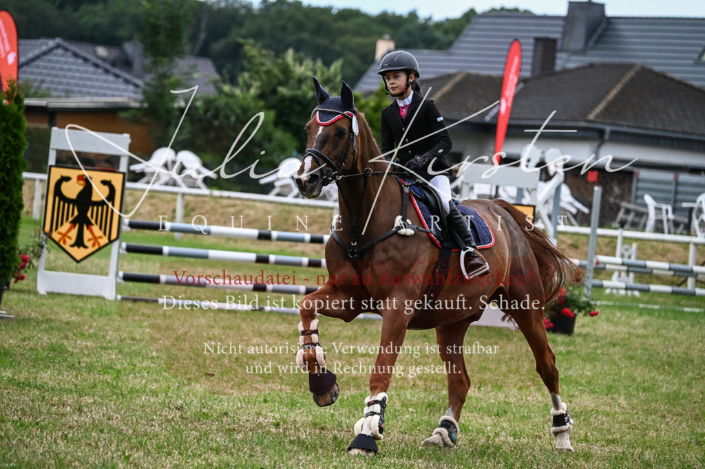 DSC_8537 | Pferde- und Turnierfotografie in Westsachsen. Pferdeportraits, Auftragszeichnungen und intuitive Kunst.