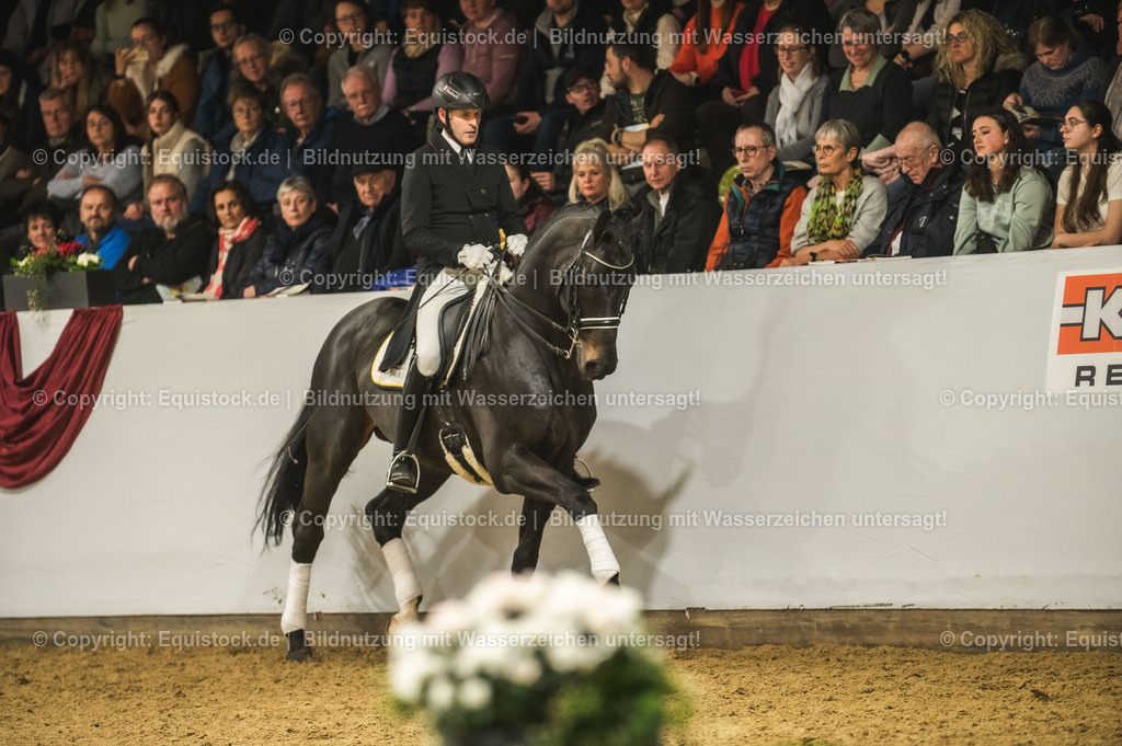 20240302_Hengstvorstellung_Marbach_TOMsPiC_1428-2 | equistock