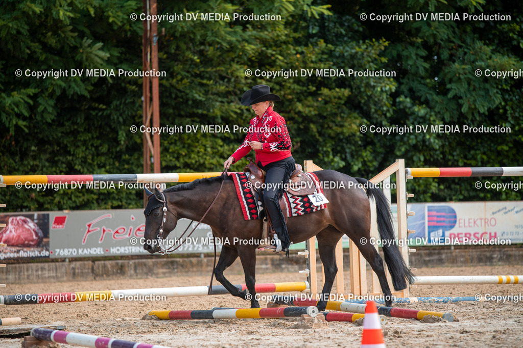 ZS3_9229 | dv-media-shop - Realisiert mit Pictrs.com