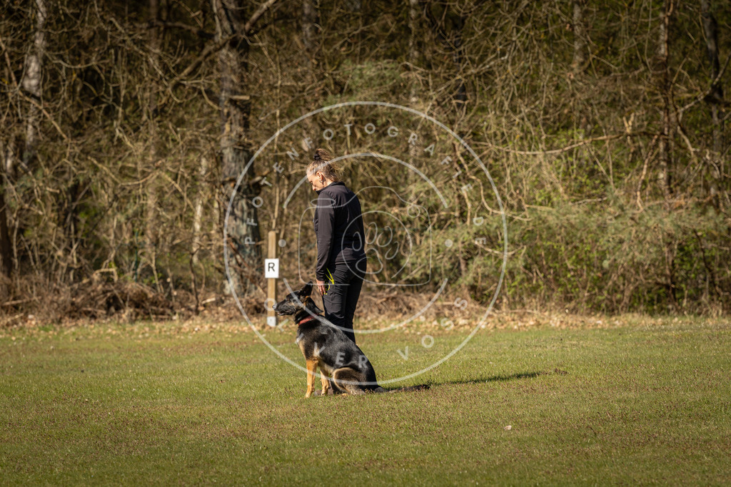 Pfotenfotografie_DV3A0472 | Hundefotografie, Tierfotograf, Pfotenfotografie, Fotoshooting Hund, Hunde Portrait, Hundesport, Hundeportraits, Heideshooting, Hunde, Sportfotograf, Hundefotograf, Turnierhundsport, THS,  - Realisiert mit Pictrs.com