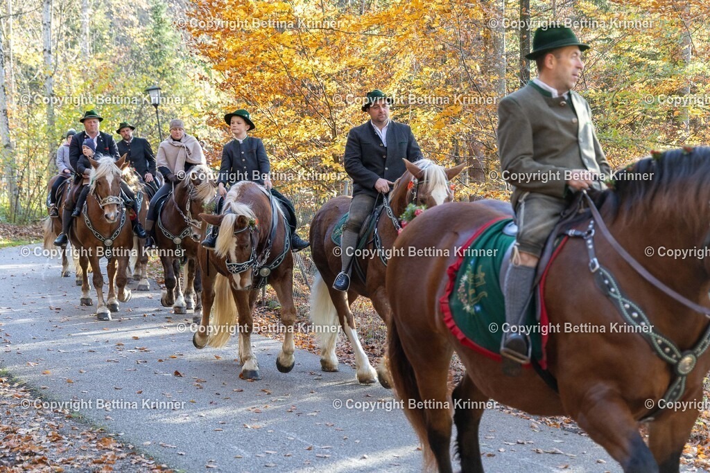 LL24-298 | foto-bettina-krinner - Realisiert mit Pictrs.com