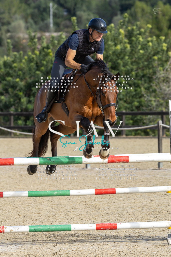 IMG_4631 | s-jay-photography - Realisiert mit Pictrs.com