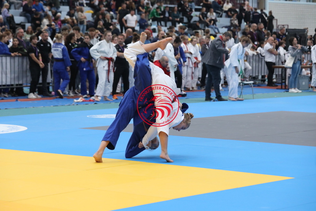 1J7A2683 | Fotos vom Adler Cup - Pictures from Adler Cup

Hier findet Ihr alle Eindrücke und großen Momente der Adler Cup Wochenenden. Here you will find all impressions and great moments of the Adler Cup weekends. - Realisiert mit Pictrs.com