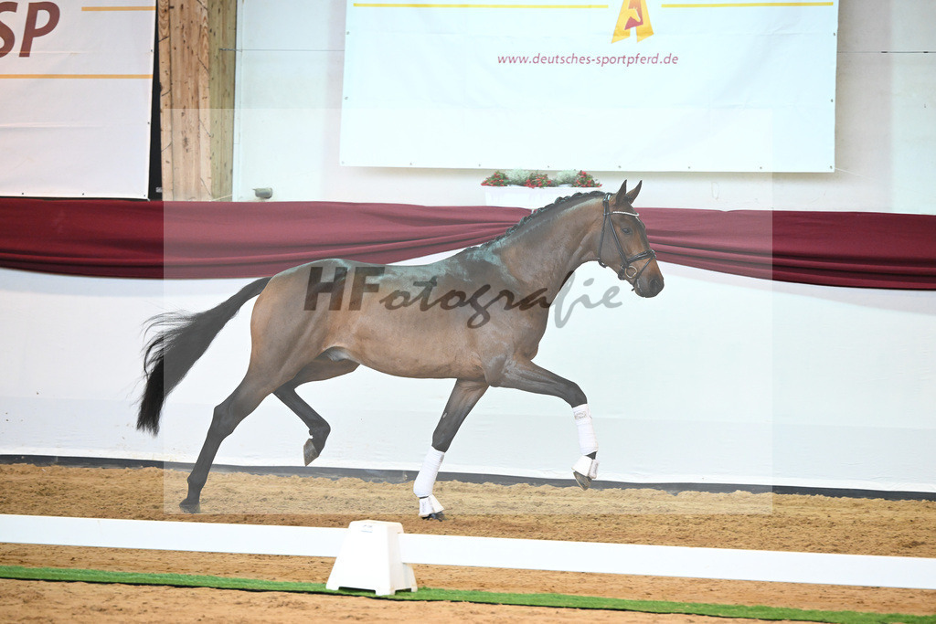 Kat-Nr. 39 v. Jovian_Dahlhoff_66221000 | hf-fotografie - Realisiert mit Pictrs.com