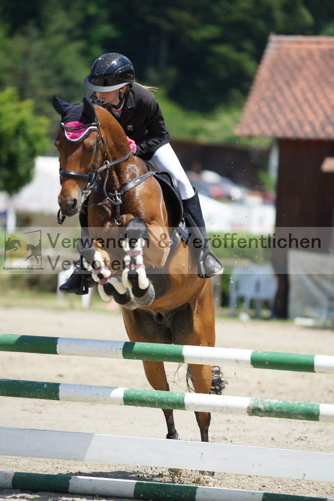 DSC00699 | equestrian-live-com