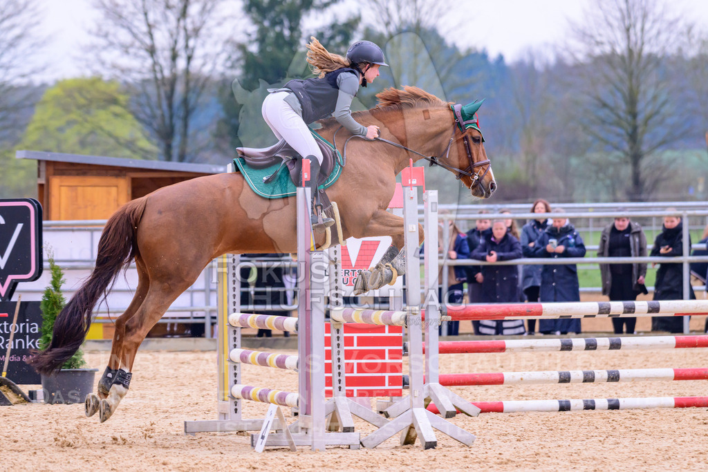 10042026-Mammendorf-Prfg16-0155 | Fokus Hufschlag Fotografie - Realisiert mit Pictrs.com