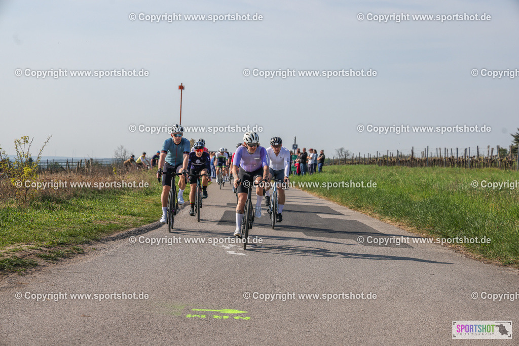 007A8819 | Neusiedlersee Radmarathon #neusiedlerseeradmarathon #neusiedlersee #nrm26 #yourpictrs #sportshot_your_pictrs