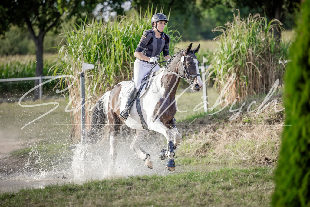 20250906-_3LI7625 | Tierfotografie Pferde, Hunde, Katzen, Haustiere.
Turnierfotografie Reitturniere, Reiten, Springreiten, Dressur in Hanau, dem Main-Kinzig-Kreis und dem Rhein-Main- Gebiet um Frankfurt