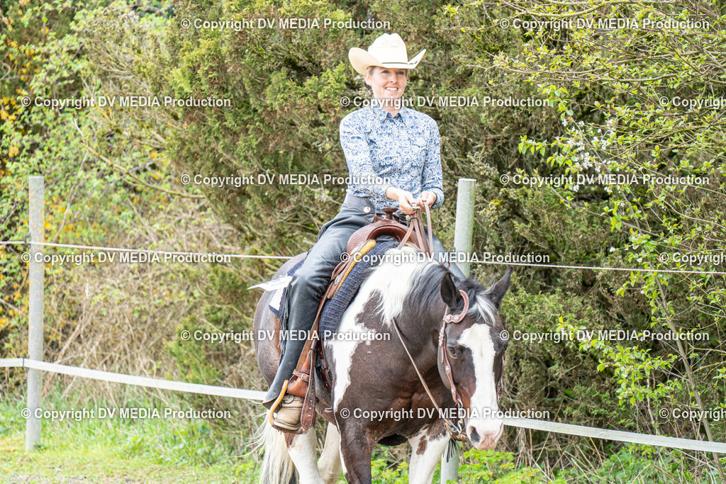 BAL00779 | dv-media-shop - Realisiert mit Pictrs.com