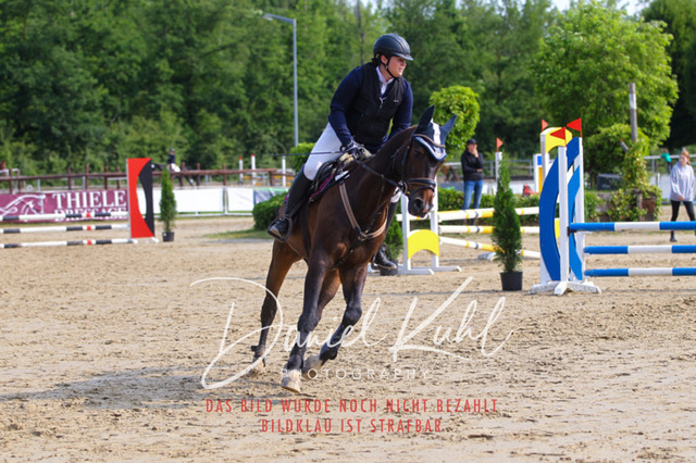 DKP41138 | Turniersportfotografie; Pferdefotografie; Dressurfotografie