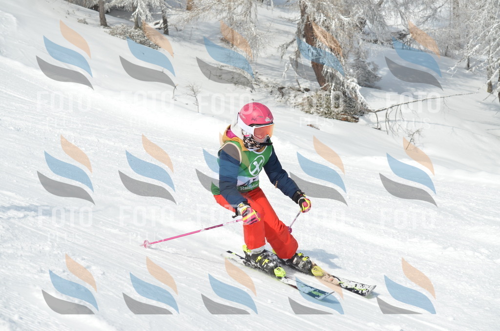 D8755 | holidayphoto