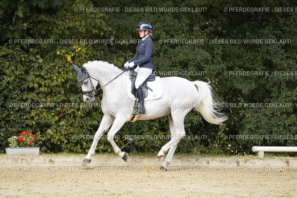 DSC02800 | Pferdegrafie