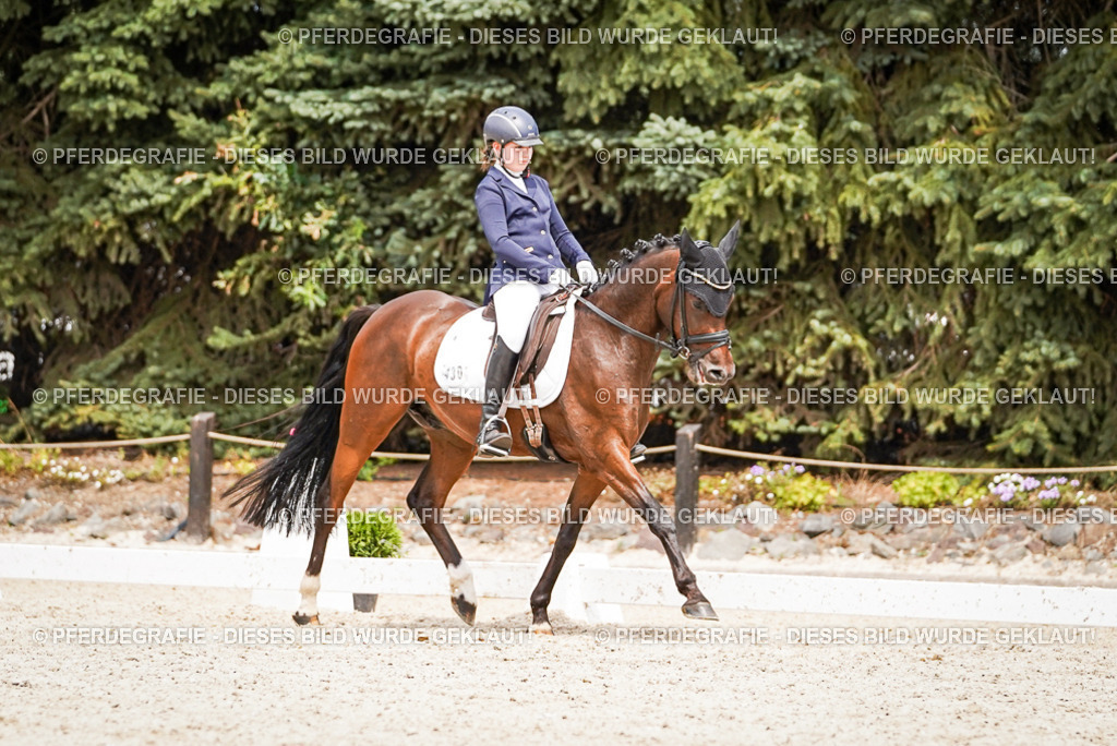 DSC04263 | Pferdegrafie