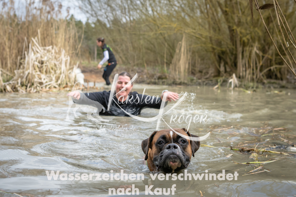 1557_ZZ94883 | kk-dogfotos