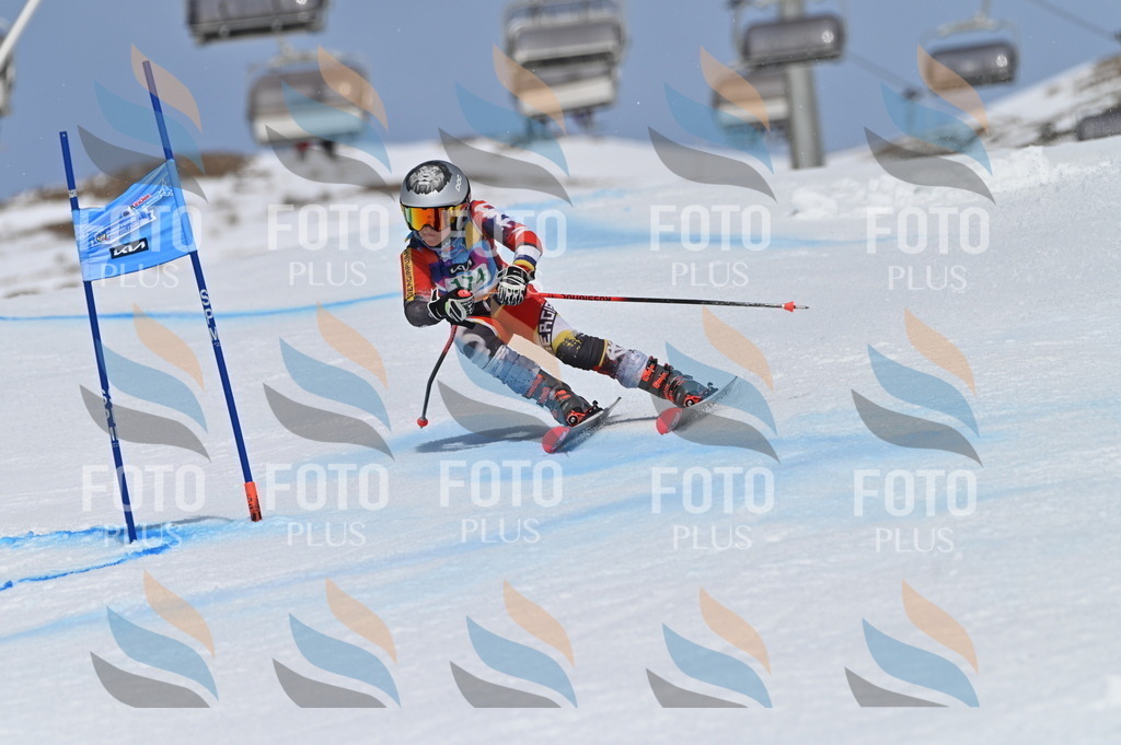 BGV_3435 | holidayphoto