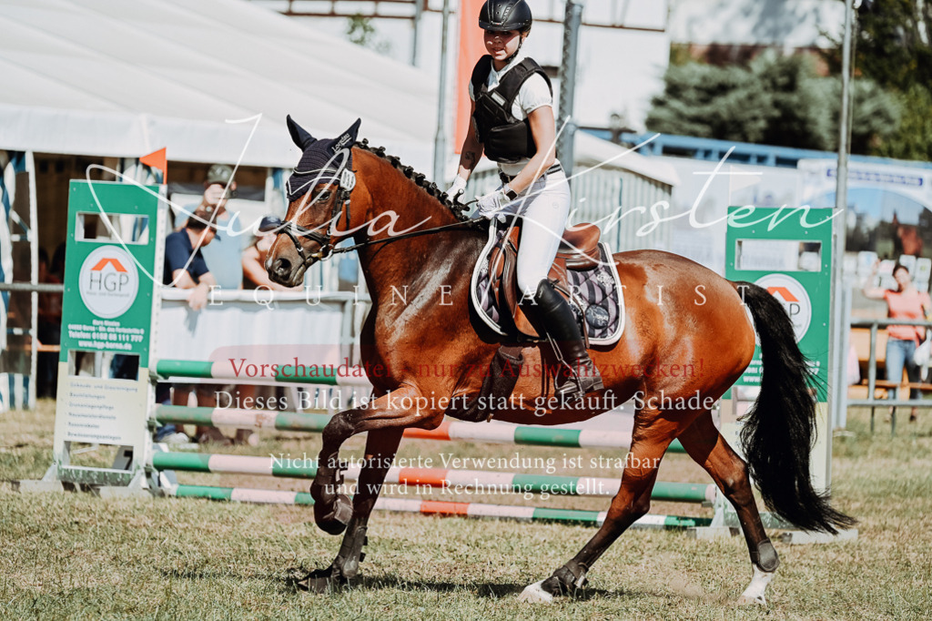 DSC_9677 | Pferde- und Turnierfotografie in Westsachsen. Pferdeportraits, Auftragszeichnungen und intuitive Kunst.
