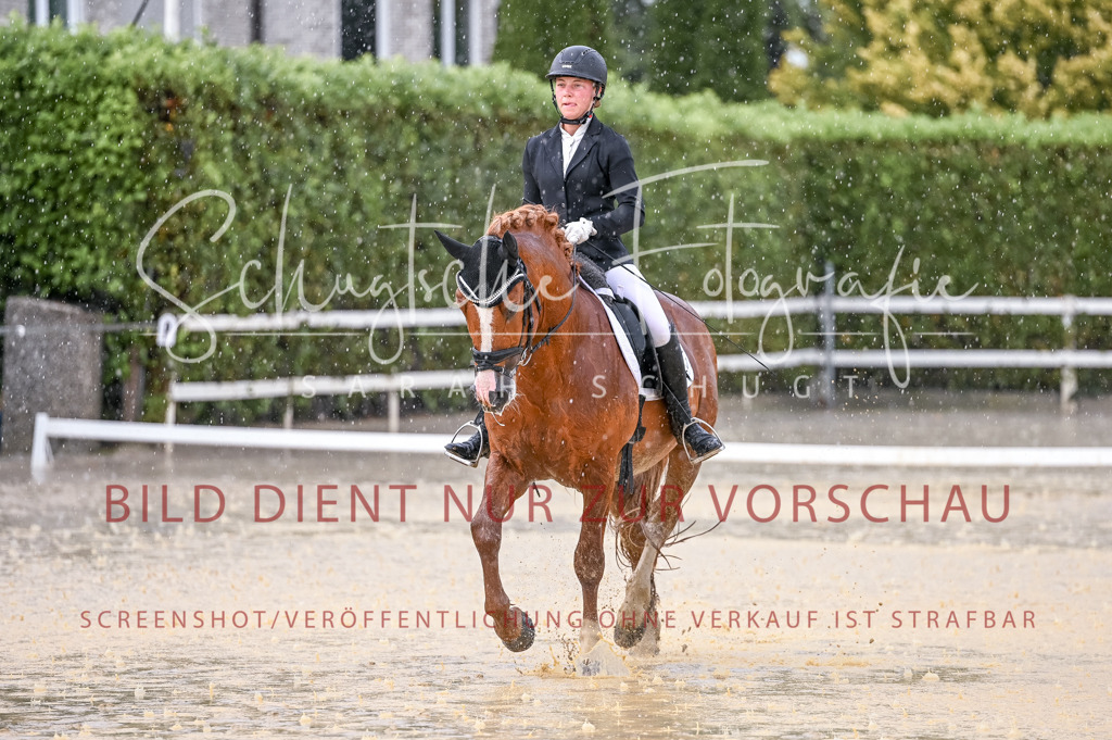 Schugtsche-Aluta25-54.Dressurprf.L1Trense-79 | Schugtsche Fotografie - Realisiert mit Pictrs.com