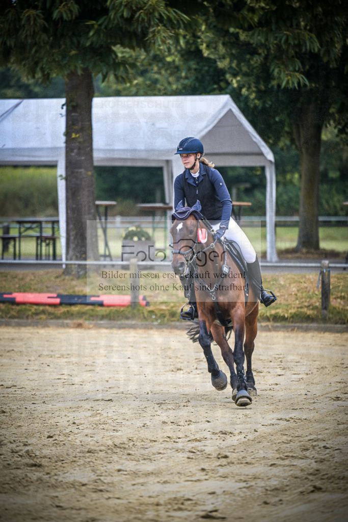DOS_1007 | Entdecke hochwertige Reitturnierfotos von Foto Oger. Professionell, emotional und authentisch – jetzt Lieblingsmomente im Shop bestellen.Deutschlandweite Turnierfotografie. - Realisiert mit Pictrs.com