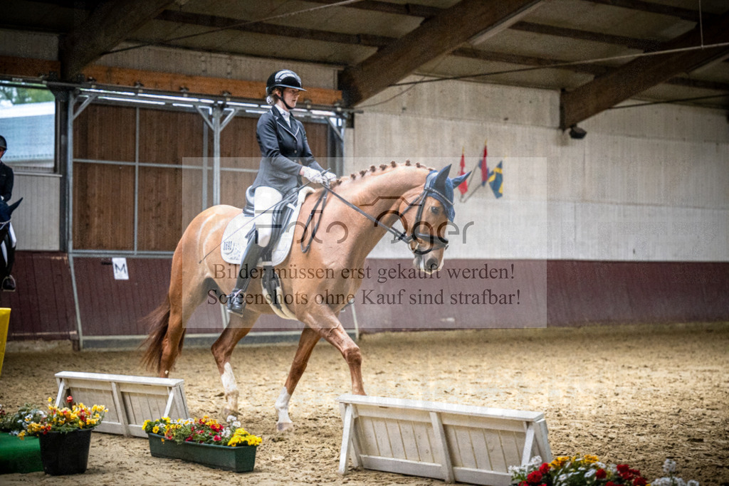 DOS_0141 | Reitturnier Lüdinghausen - Realisiert mit Pictrs.com