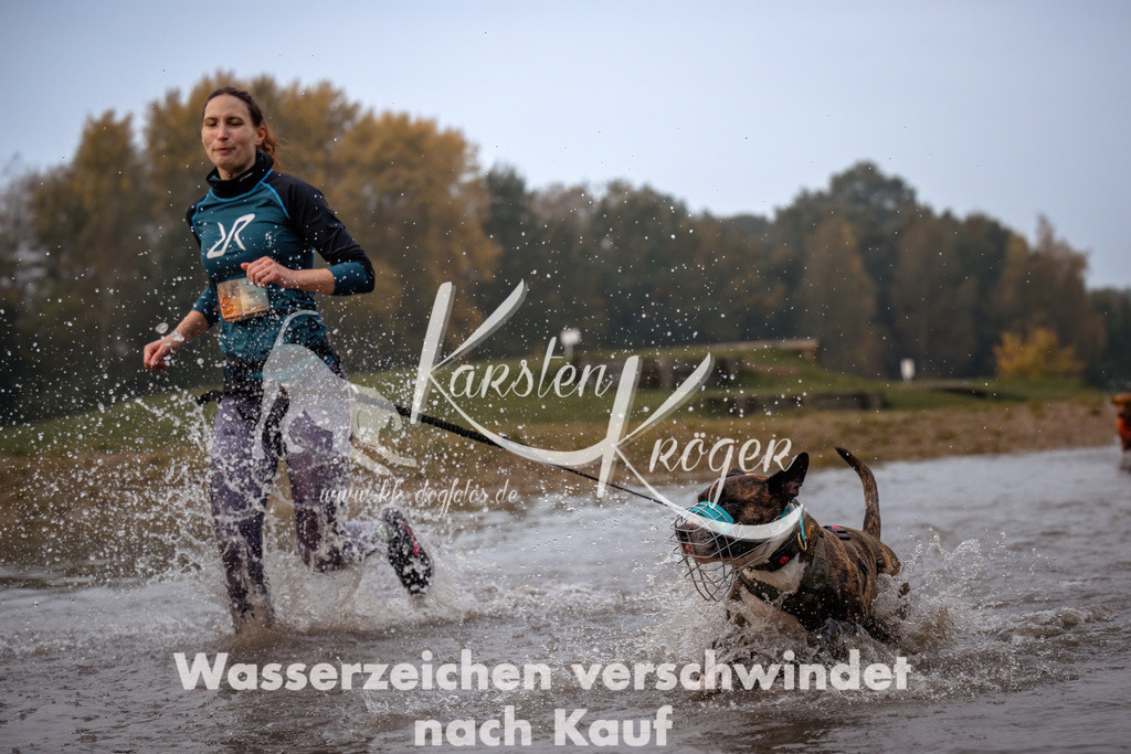 0829_ZZ91988 | kk-dogfotos