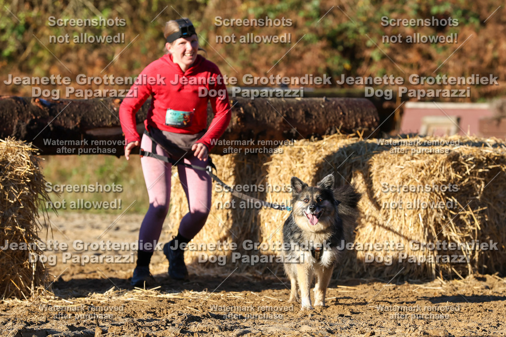 Dog Paparazzi - Strongdog 10-25-1127 | Dog Paparazzi Jeanette Grottendiek Fotografie & Videografie - Realisiert mit Pictrs.com