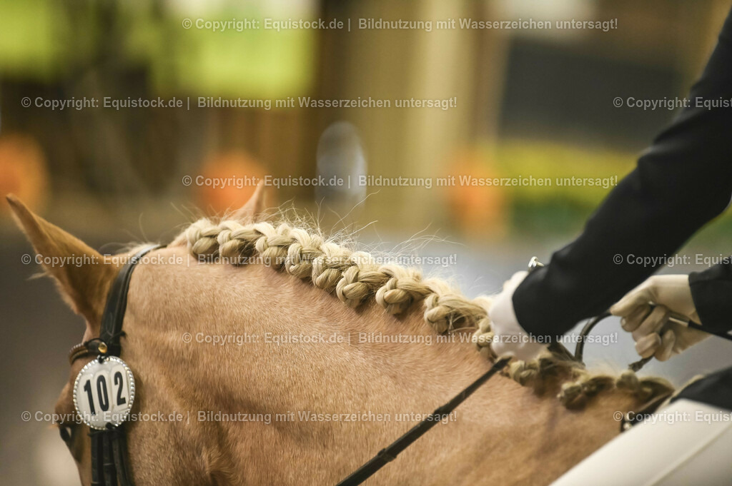 20231029_02_Reiter-WB_Schritt-Trab-Galopp_Abteilung-01_0030 | Foto: Thomas Hartig