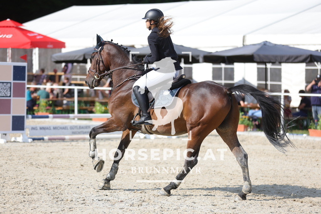 0P6A6037 | Willkommen bei Brunnmayr - Design & Fotografie – Ihrem Spezialisten für Reitturniere und Pferdeveranstaltungen in Oberösterreich, Salzburg und Bayern! Seit über 17 Jahren sind wir leidenschaftlich dabei.