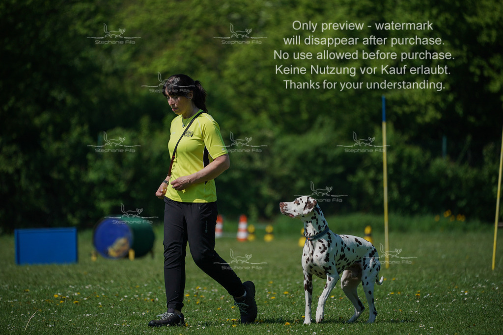 Sa_Gehorsam_Vormittag-133 | stephaniefillaphotographie - Realisiert mit Pictrs.com