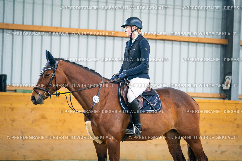 DSC00556 | Pferdegrafie