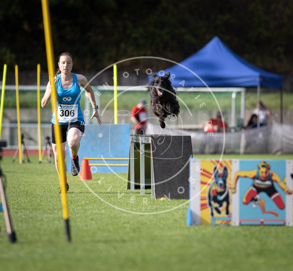 Pfotenfotografie_DV3A1353 | Hundefotografie, Tierfotograf, Pfotenfotografie, Fotoshooting Hund, Hunde Portrait, Hundesport, Hundeportraits, Heideshooting, Hunde, Sportfotograf, Hundefotograf, Turnierhundsport, THS,  - Realisiert mit Pictrs.com