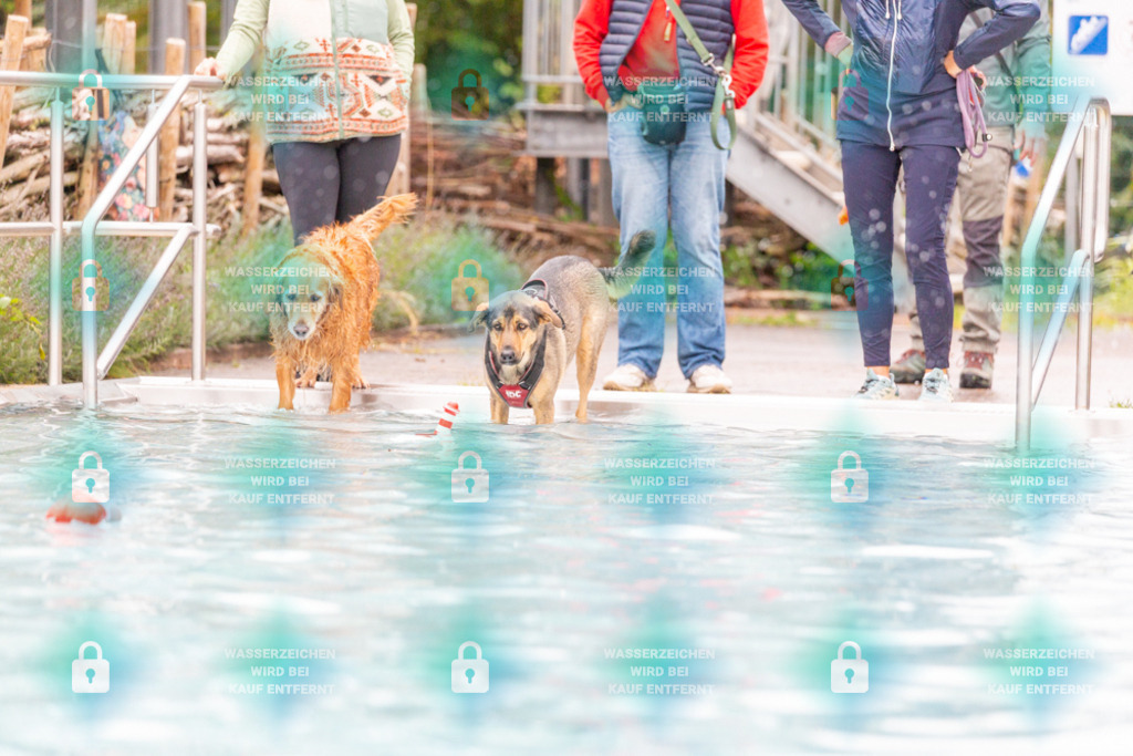 _HP_7173_1000o | HetPix, HetPix Fotodesign, Fotografie, Fotodesign, Webshop, Sportfotografie, Portraitfotografie, Onlineshop, Sportfotografie, Polch, Motorsportfotografie, Eventfotografie