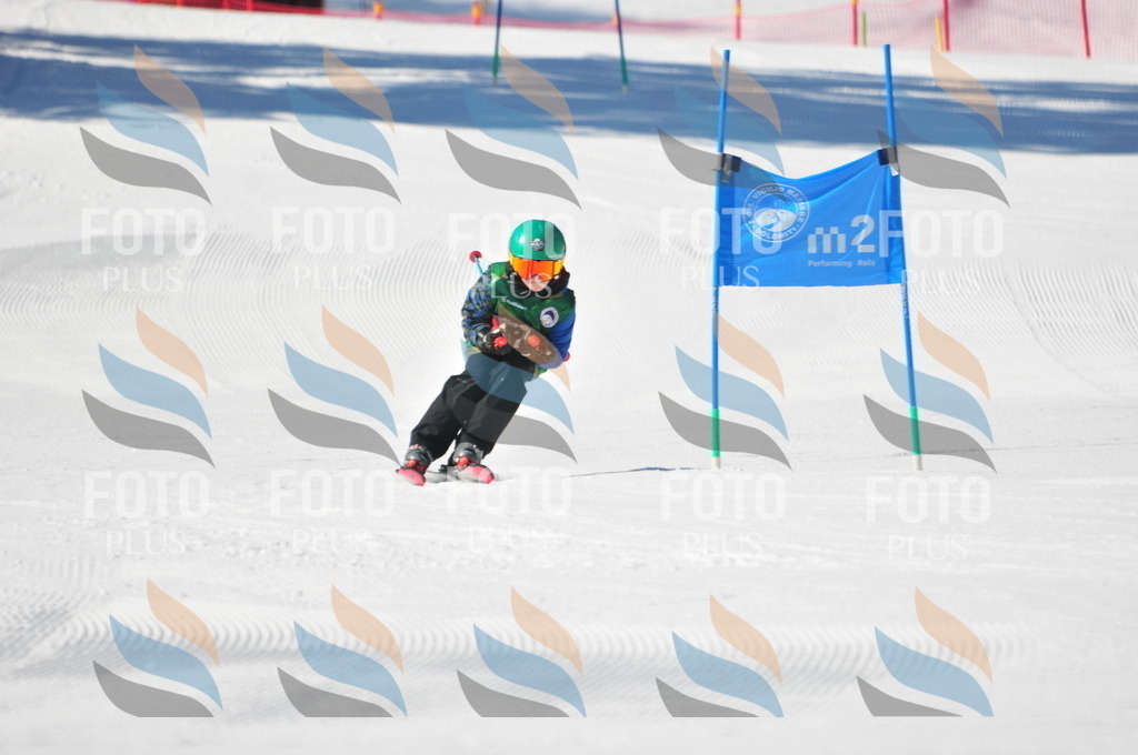 C2126 | holidayphoto