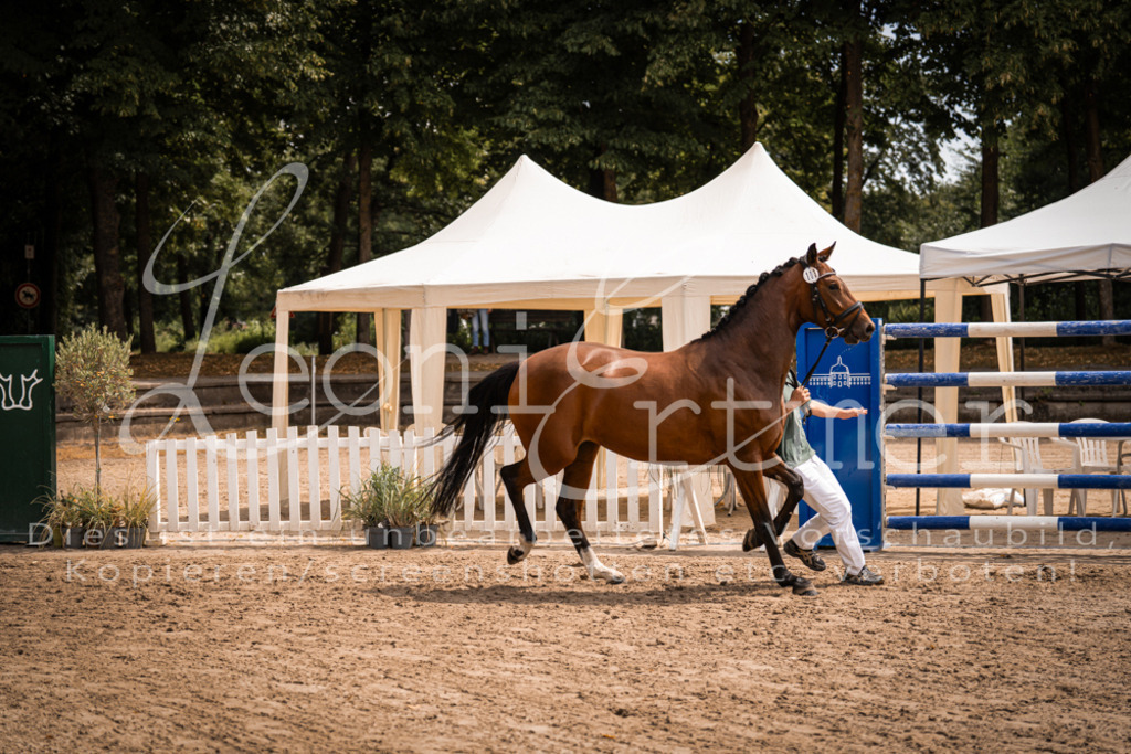 2. Fr00081 | Leoni Ertmer Photography - Realisiert mit Pictrs.com