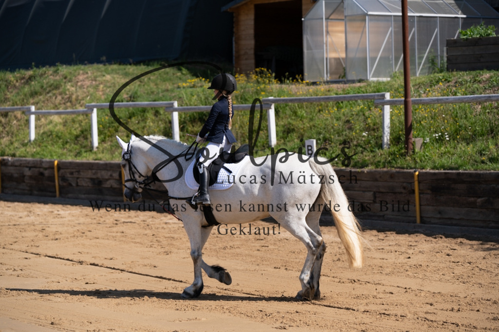 A7V07727 | Pferdefotograf