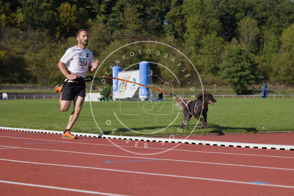 0L8A9877 | Hundefotografie, Tierfotograf, Pfotenfotografie, Fotoshooting Hund, Hunde Portrait, Hundesport, Hundeportraits, Heideshooting, Hunde, Sportfotograf, Hundefotograf, Turnierhundsport, THS,  - Realisiert mit Pictrs.com