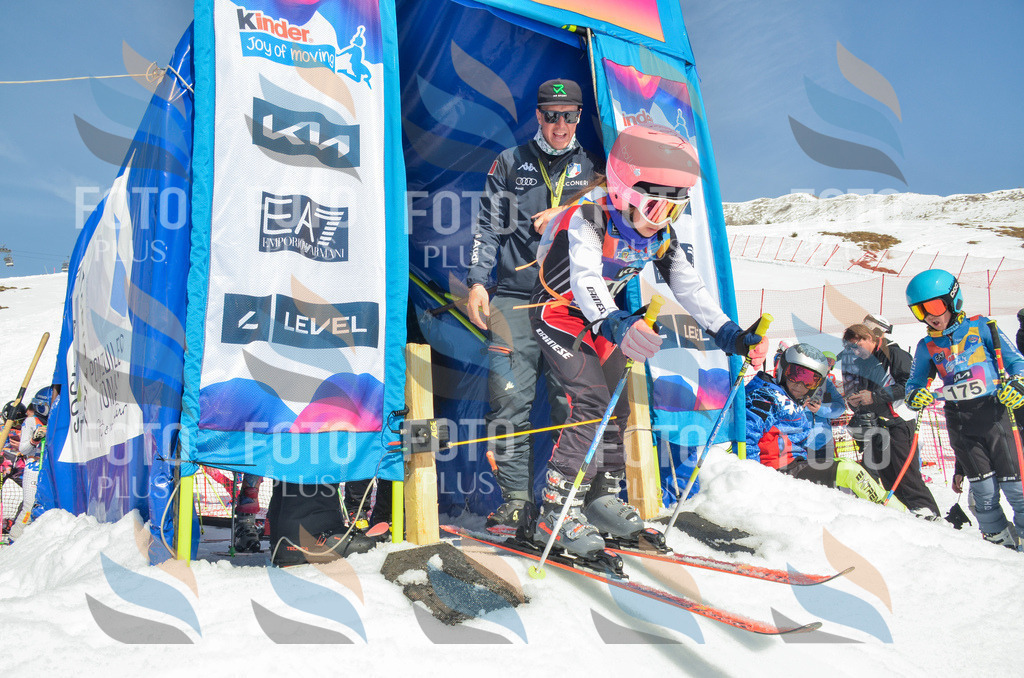 _ELE5814 | holidayphoto