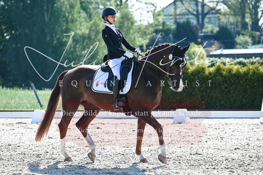 20230514_JK-Röhrsdorf-18-189 | Pferde- und Turnierfotografie in Westsachsen. Pferdeportraits, Auftragszeichnungen und intuitive Kunst.