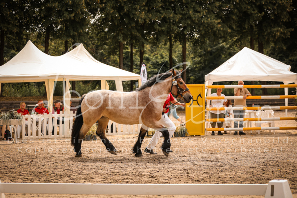 3.Sa00074 | Leoni Ertmer Photography - Realisiert mit Pictrs.com