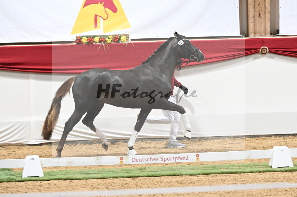 Kat.-Nr. 37 v. Benicio_Schulze Averdiek_3260159 | hf-fotografie - Realizzato con Pictrs.com