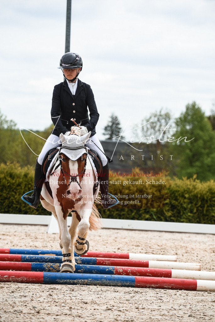 20230518_JK-Röhrsdorf-10-650 | Pferde- und Turnierfotografie in Westsachsen. Pferdeportraits, Auftragszeichnungen und intuitive Kunst.