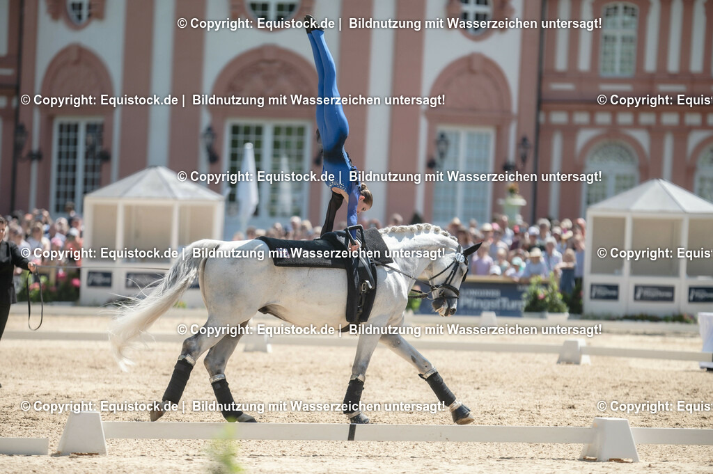 20230528_Voltigieren_NASPA_0027 | equistock