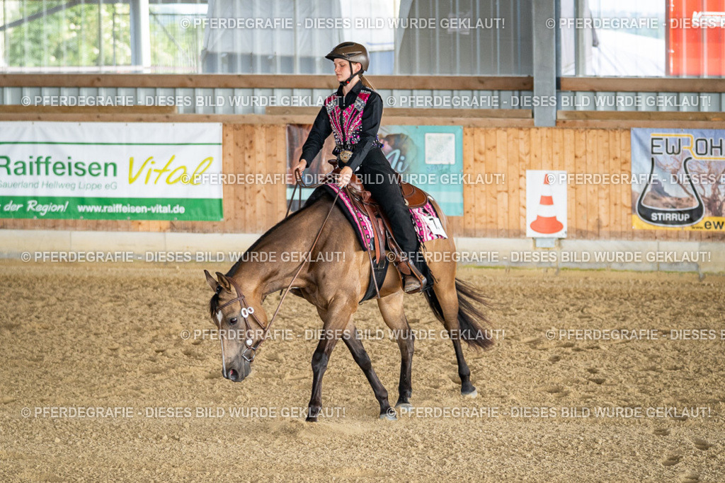 DSC07862 | Pferdegrafie