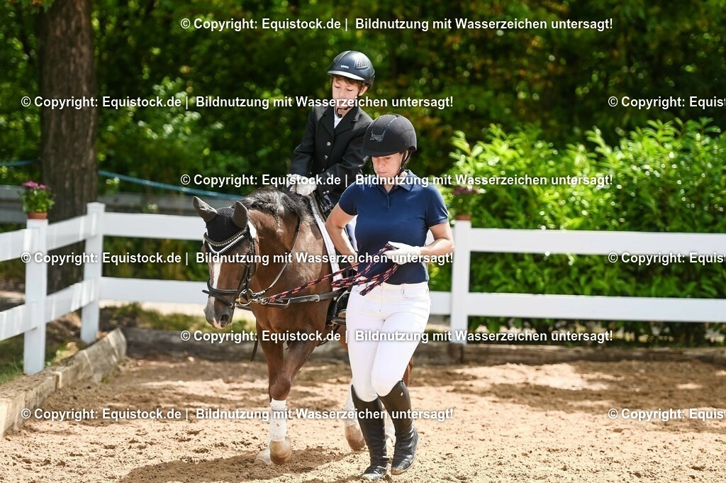 20230716_11_Führzügel-WB_0066 | equistock
