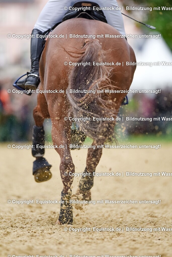 TS_20250607_27_CCI4_Gelände_0514 | Foto: Thomas Hartig
