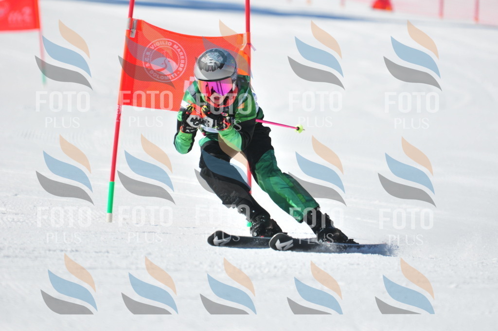 C3599 | holidayphoto