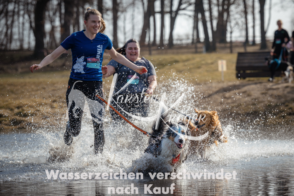 1132_ZZ95265 | kk-dogfotos