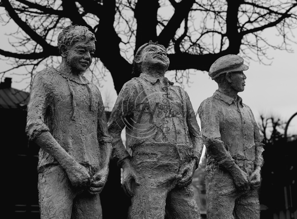 Miltenberg am Main | Miltenberg, Kreisstadt, Unterfranken,Mainknie, Odenwald,Spessart, Limes, Mildenburg, Main - Realisiert mit Pictrs.com