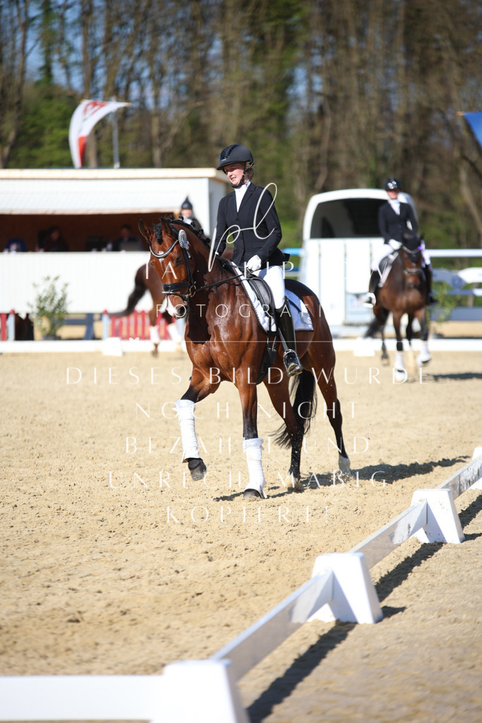 IMGT9162 | pl-fotografie