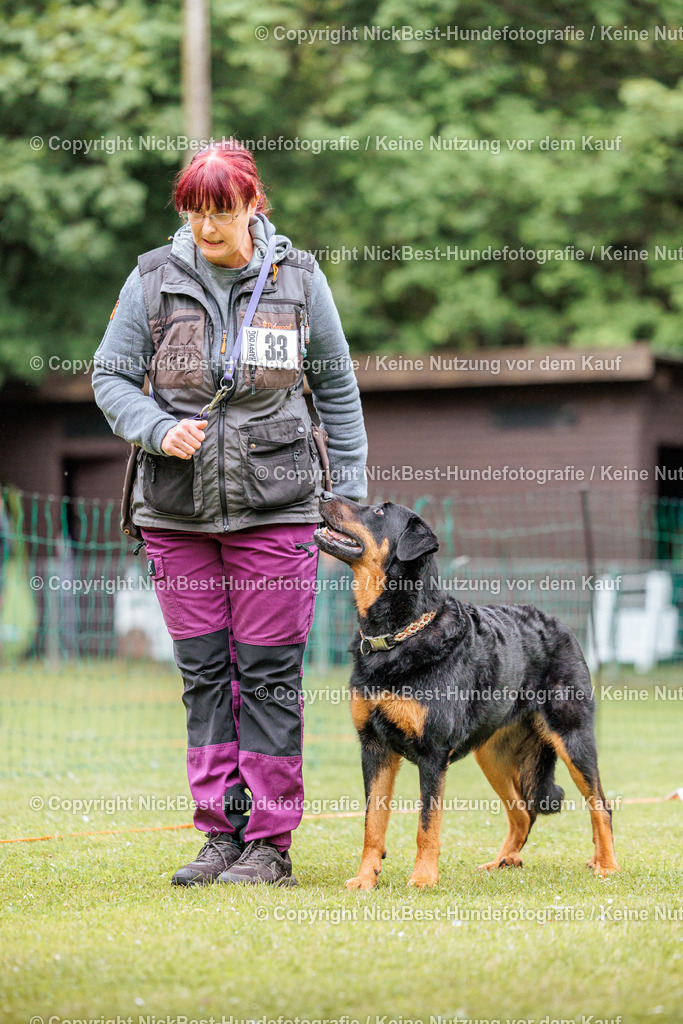 RO-Blumenthal-2026-Nickbest-Hundefotografie-2712 | Dein Hund! Dein Moment! Deine Erinnerungen! Hundefotografie in Bremen Blumenthal. Ich fange die besonderen Momente deines Vierbeiners ein – ob Indoor mit Blitzanlage oder in der freien Natur. Sicher dir dein Moment und dein Termin für eure Erinnerungen.