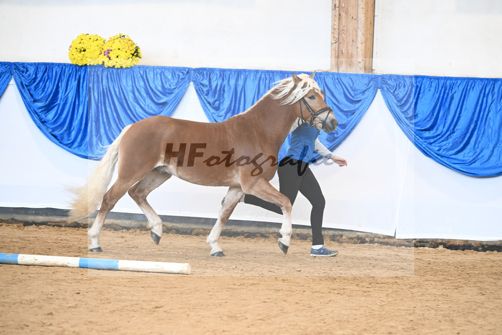 Kat-Nr. 20 nn v. Nakuri_Linder_48250994 | hf-fotografie - Realisiert mit Pictrs.com